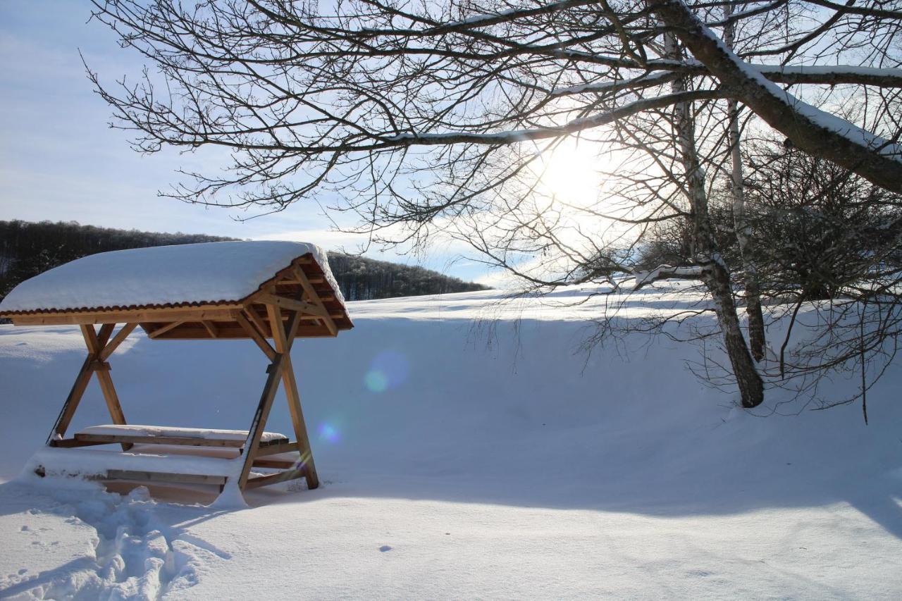 Ferienhaeuser "Zur Hohen Sonne" Thale Exterior foto